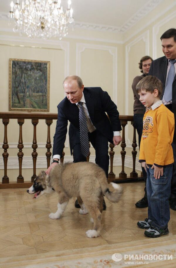 Putin recibe al chico que inventó nombre a su nuevo perro - Sputnik Mundo