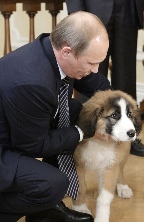 Putin recibe al chico que inventó nombre a su nuevo perro - Sputnik Mundo