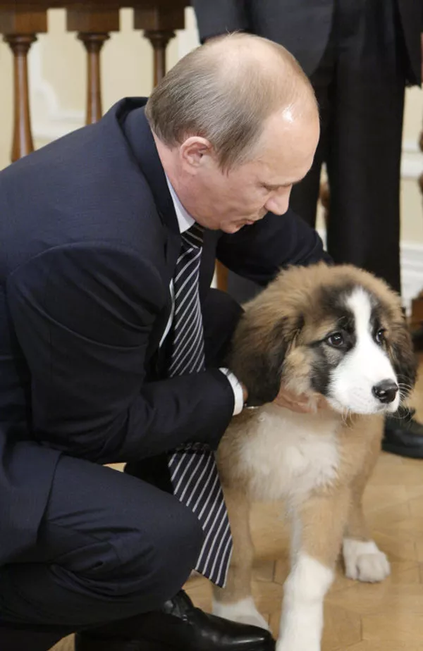 Putin recibe al chico que inventó nombre a su nuevo perro Putin recibe al chico que inventó nombre a su nuevo perro - Sputnik Mundo