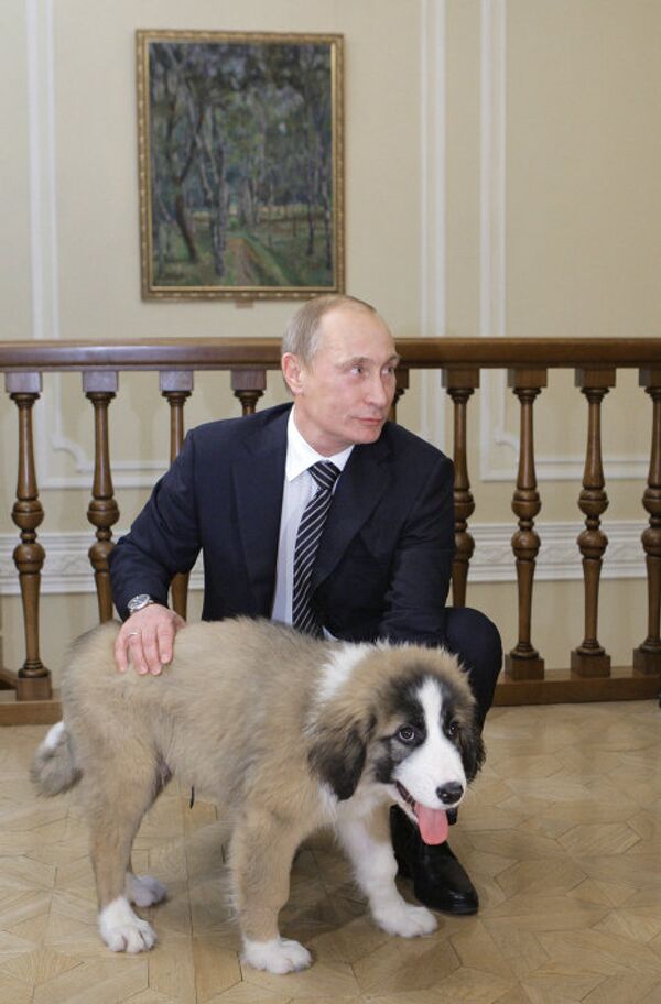 Putin recibe al chico que inventó nombre a su nuevo perro - Sputnik Mundo