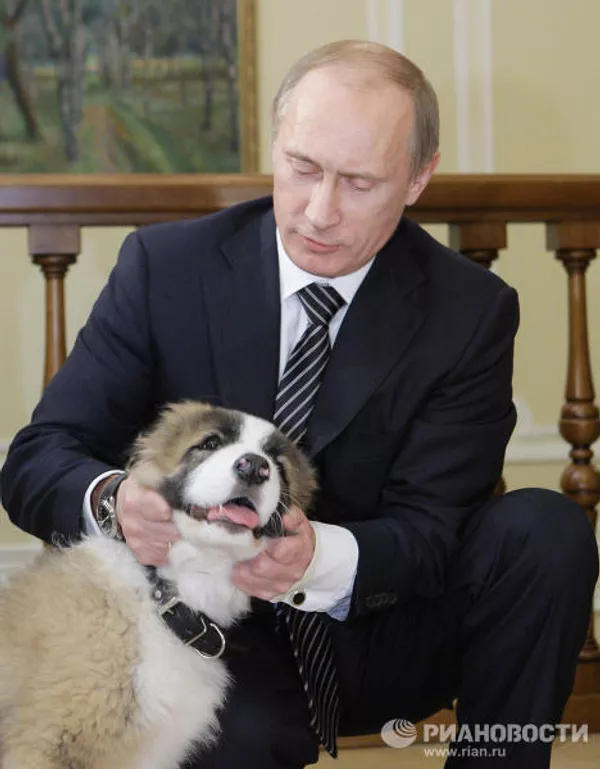 Putin recibe al chico que inventó nombre a su nuevo perro Putin recibe al chico que inventó nombre a su nuevo perro - Sputnik Mundo