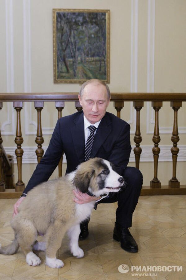 Putin recibe al chico que inventó nombre a su nuevo perro - Sputnik Mundo