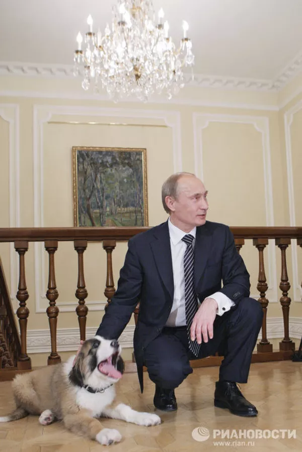 Putin recibe al chico que inventó nombre a su nuevo perro Putin recibe al chico que inventó nombre a su nuevo perro - Sputnik Mundo