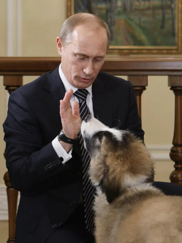 Putin recibe al chico que inventó nombre a su nuevo perro Putin recibe al chico que inventó nombre a su nuevo perro - Sputnik Mundo