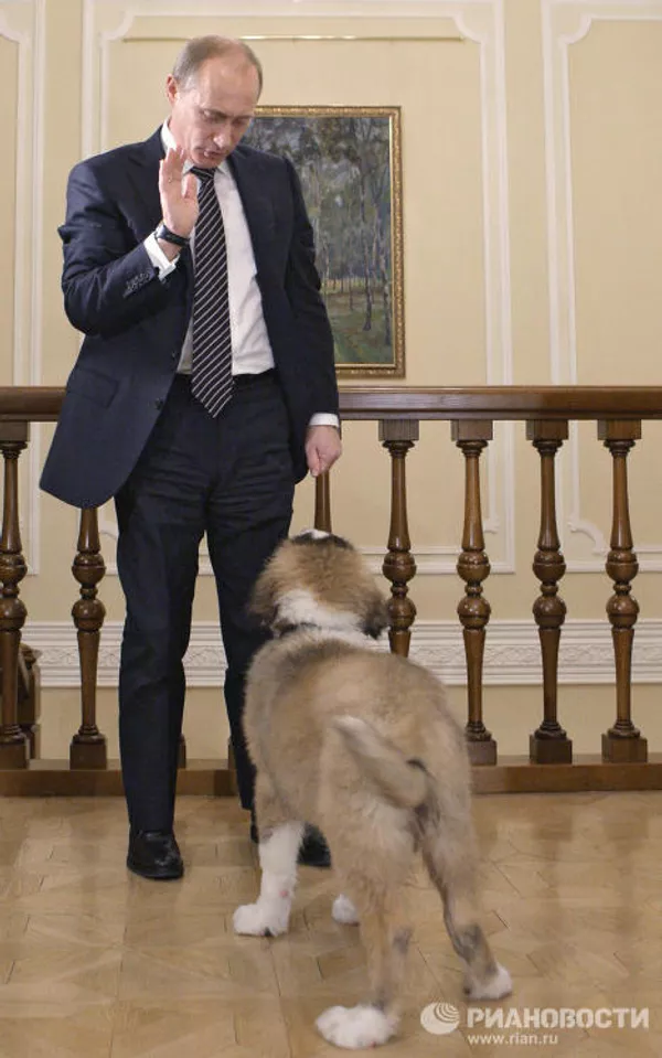 Putin recibe al chico que inventó nombre a su nuevo perro Putin recibe al chico que inventó nombre a su nuevo perro - Sputnik Mundo