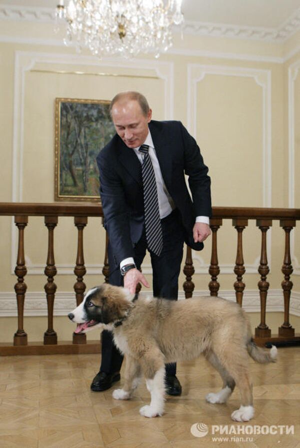 Putin recibe al chico que inventó nombre a su nuevo perro - Sputnik Mundo