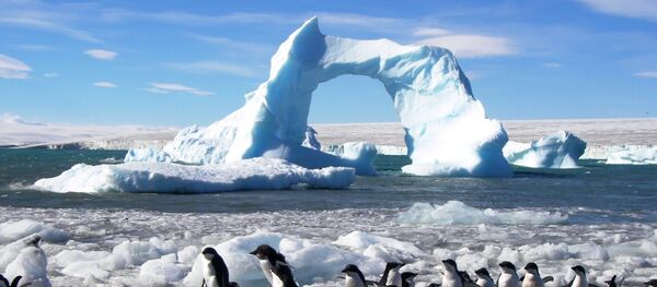 Antártida (archivo) - Sputnik Mundo