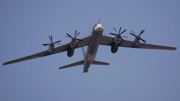 Tu-95MS - Sputnik Mundo