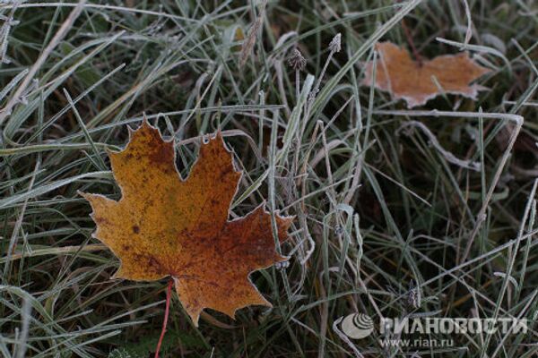 Las mejores imágenes RIA Novosti 2010: Naturaleza - Sputnik Mundo