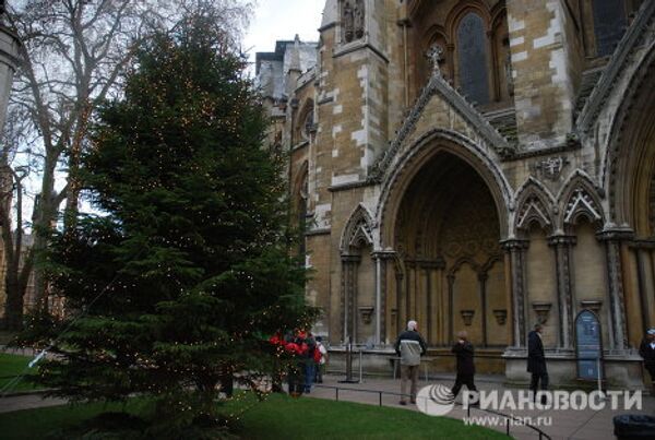 Árboles de Navidad y Año Nuevo de distintos rincones del mundo - Sputnik Mundo