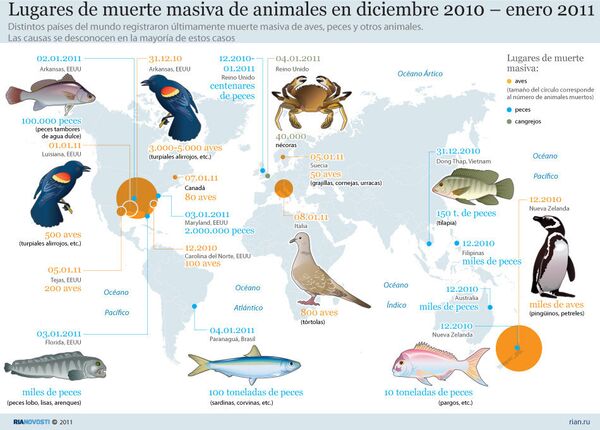 Casos de muerte masiva de animales en el mundo - Sputnik Mundo