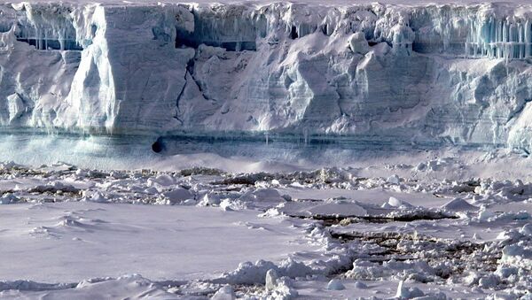 Restauración de la estación antártica quemada de Brasil costará US$ 57 millones - Sputnik Mundo