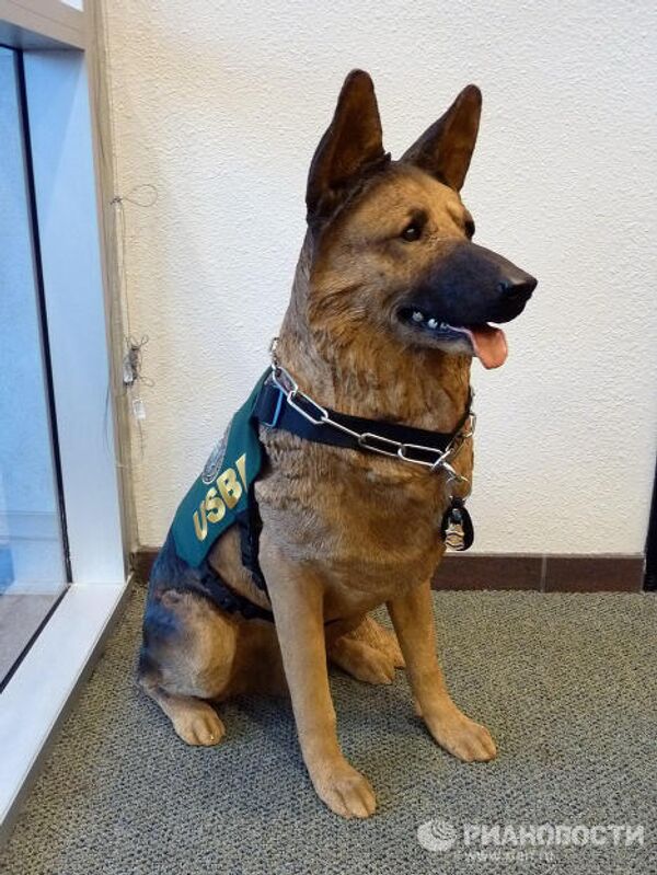 La frontera de EEUU y México son 3.000 kilómetros de caos - Sputnik Mundo