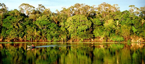 Bosques amazónicos - Sputnik Mundo