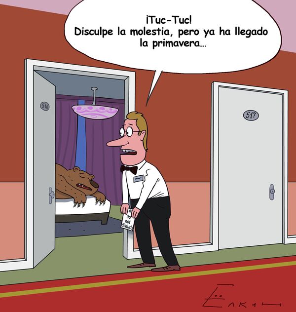 Los osos de Rusia despiertan de su siesta - Sputnik Mundo