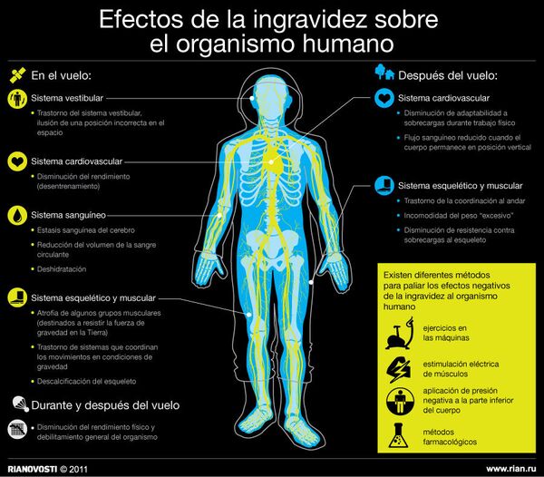 Efectos de la ingravidez sobre el organismo humano - Sputnik Mundo