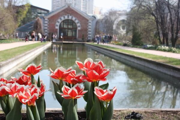 El Huerto del Boticario en Moscú - Sputnik Mundo