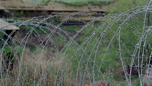 Alturas del Golán (foto de archivo) - Sputnik Mundo