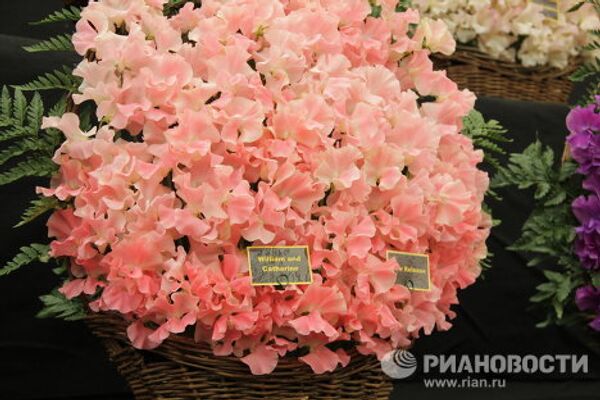 Festival de Flores de Chelsea - Sputnik Mundo