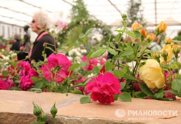 Festival de Flores de Chelsea - Sputnik Mundo