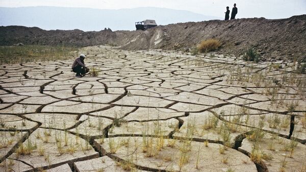 Sur América busca superar consecuencias del fenómeno El Niño - Sputnik Mundo