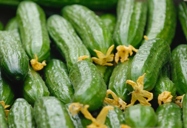 Pepinos - Sputnik Mundo