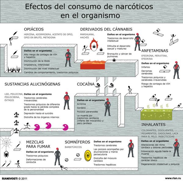 Efectos del consumo de narcóticos en el organismo Efectos del consumo de narcóticos en el organismo - Sputnik Mundo