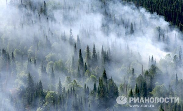 Lucha contra incendios forestales en el Territorio de Krasnoyarsk  - Sputnik Mundo