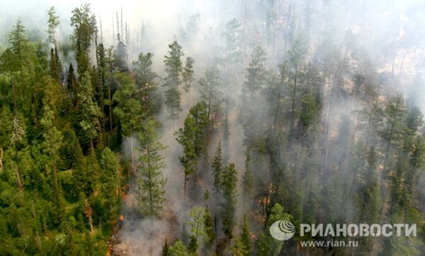 Lucha contra incendios forestales en el Territorio de Krasnoyarsk  - Sputnik Mundo