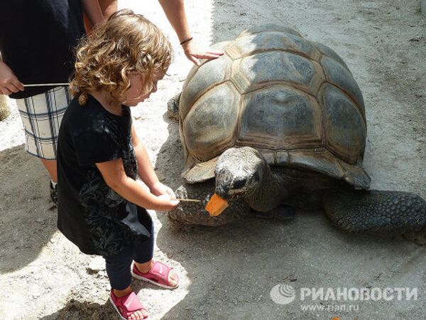 Gatorland, la capital mundial de los cocodrilos en Florida - Sputnik Mundo