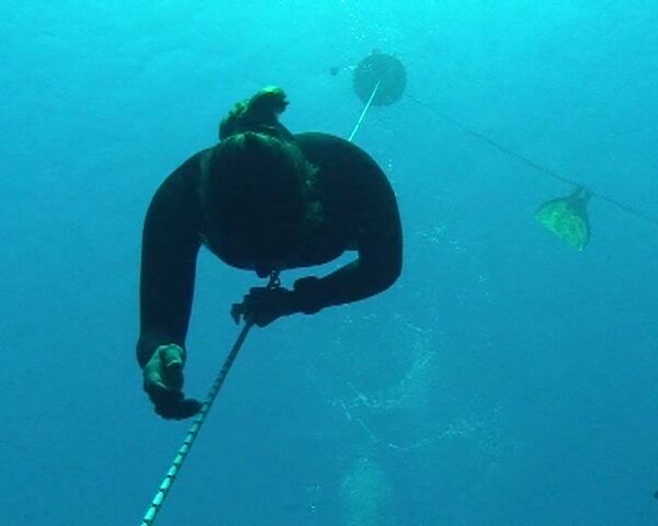 Una atleta de buceo a pulmón nada 12 minutos con ballenas beluga en aguas heladas - Sputnik Mundo