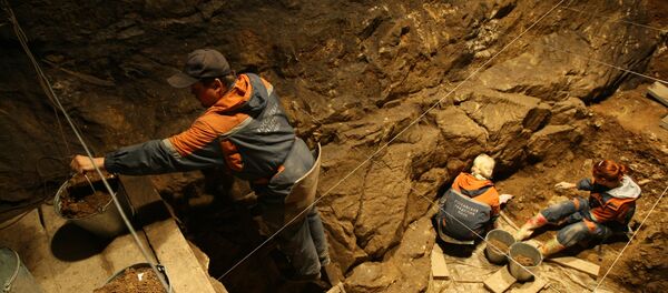 Investigadores del Instituto de Arqueología y Etnografía de la filial de la Academia de Ciencias de Rusia en Siberia están trabajando en una de las galerías de la cueva de Denísova Investigadores del Instituto de Arqueología y Etnografía de la filial de la Academia de Ciencias de Rusia en Siberia están trabajando en una de las galerías de la cueva de Denísova - Sputnik Mundo