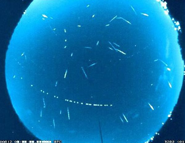 La lluvia de estrellas de las Perseidas La lluvia de estrellas de las Perseidas - Sputnik Mundo