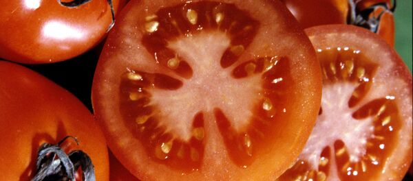 Tomates Tomates - Sputnik Mundo