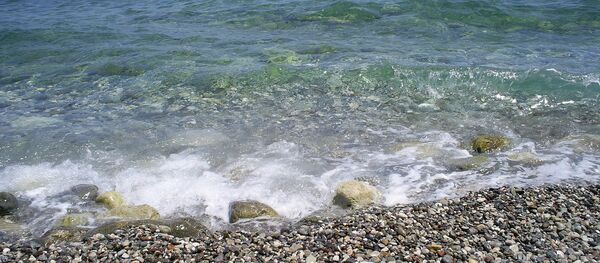 Autoridades de El Salvador ordenan evacuar zonas costeras por posible tsunami Autoridades de El Salvador ordenan evacuar zonas costeras por posible tsunami - Sputnik Mundo