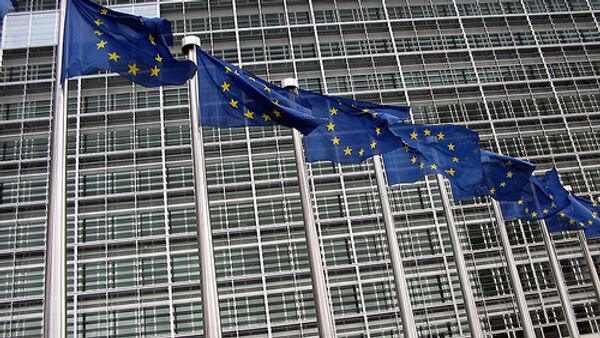 La UE denuncia ante la OMC el supuesto proteccionismo de Rusia según prensa - Sputnik Mundo