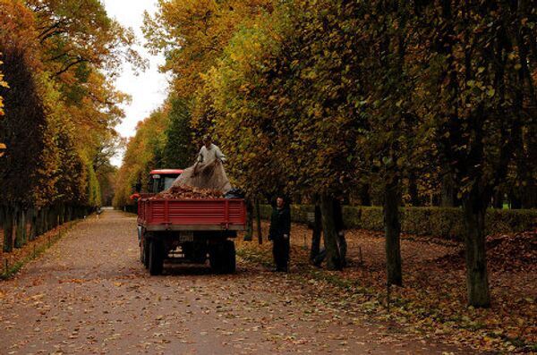 Otoño en Peterhof, ciudad de surtidores y parques  - Sputnik Mundo