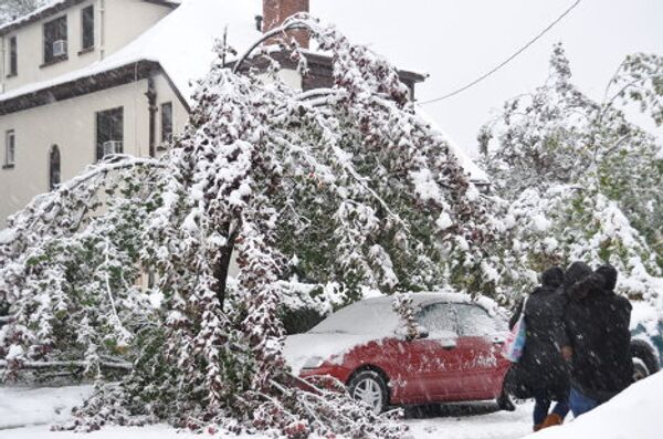 Nueva York, cubierto de nieve a finales de octubre - Sputnik Mundo