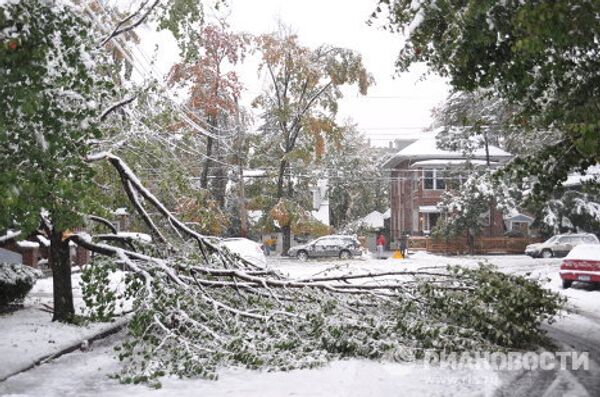 Nueva York, cubierto de nieve a finales de octubre - Sputnik Mundo