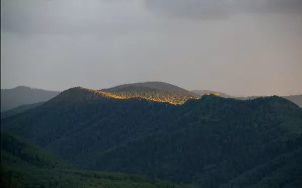 Ministro ruso de Emergencias presenta sus fotos de la naturaleza salvaje - Sputnik Mundo