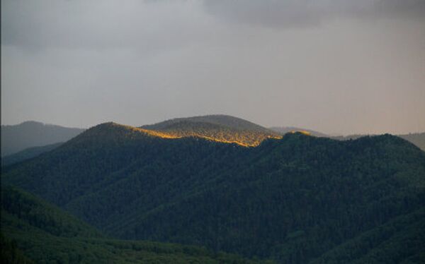 Ministro ruso de Emergencias presenta sus fotos de la naturaleza salvaje - Sputnik Mundo