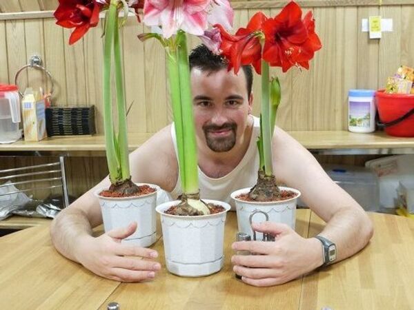 Marte-500. Voluntarios simulan viaje a Marte de 520 días - Sputnik Mundo