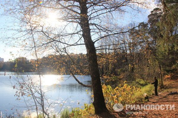 Otoño dorado en Serébriani Bor - Sputnik Mundo