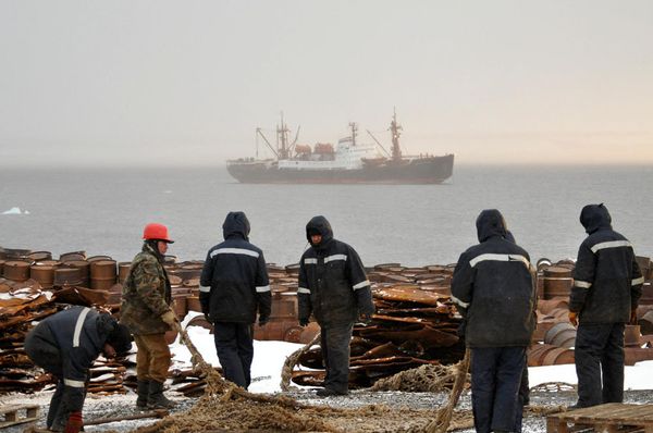 Buque de investigación “Mijaíl  Somov”  regresa a Rusia tras expedición ártica - Sputnik Mundo