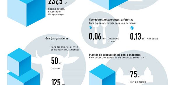 Un metro cúbico de gas es mucho o poco? Un metro cúbico de gas es mucho o poco? - Sputnik Mundo