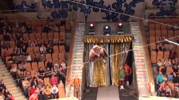 Osos de circo  ruso caminan sobre  cuerda floja - Sputnik Mundo