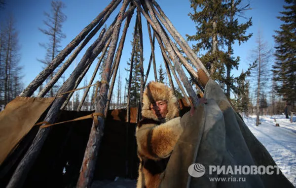 Rutina nómada de los pastores de renos en el Extremo Norte de Rusia Rutina nómada de los pastores de renos en el Extremo Norte de Rusia - Sputnik Mundo