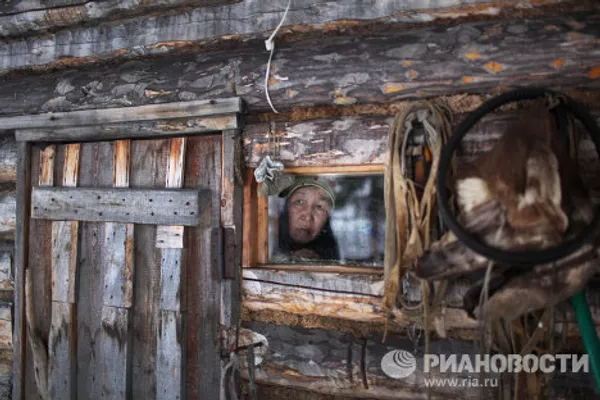 Rutina nómada de los pastores de renos en el Extremo Norte de Rusia Rutina nómada de los pastores de renos en el Extremo Norte de Rusia - Sputnik Mundo