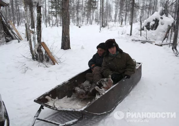 Rutina nómada de los pastores de renos en el Extremo Norte de Rusia Rutina nómada de los pastores de renos en el Extremo Norte de Rusia - Sputnik Mundo