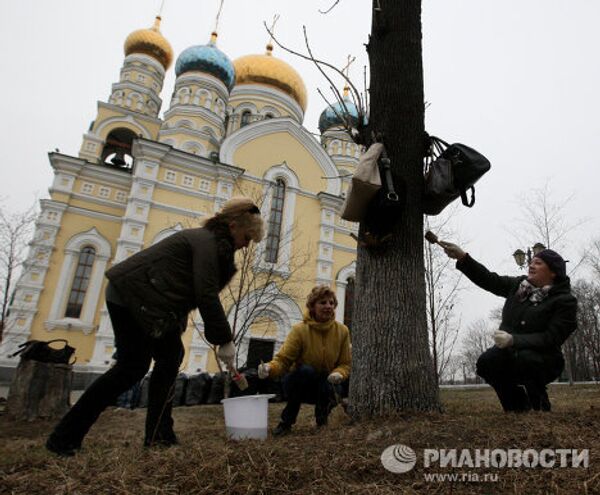 Jornada de trabajo voluntario en ciudades de Rusia - Sputnik Mundo